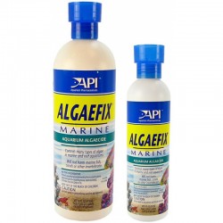 image-576802-api-marine-algaefix-16oz.jpg