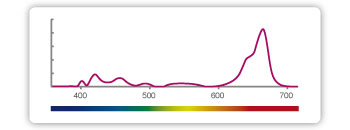 image-688125-Kessil_H380_Magenta-Spectrum.jpg