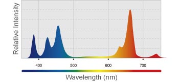 image-692934-Kessil_H80_SpectralChart_img01_2.jpg