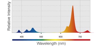 image-692935-Kessil_H80_SpectralChart_img01_3.jpg