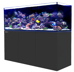 image-852687-RedSea-REEFER_XXL_750_Black-Lwith-content_300px-1-300x294-c20ad.png