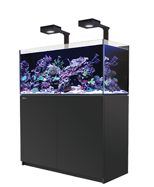 image-852689-RedSea-REEFER_DLX_350_Black_iso-left-1-1-c51ce.png