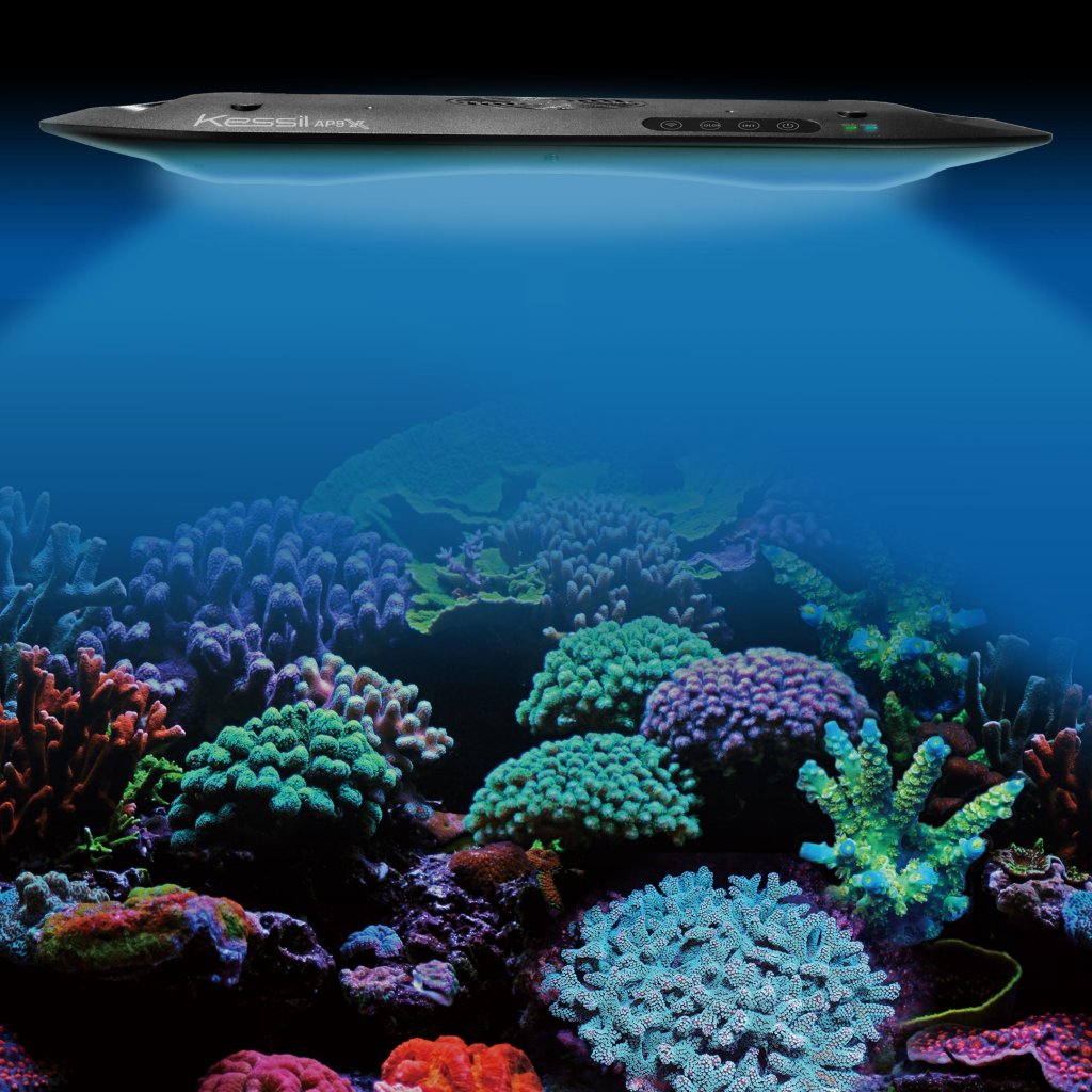 image-889561-Kessil_AP9X_productDesign05-9bf31.w640.jpg